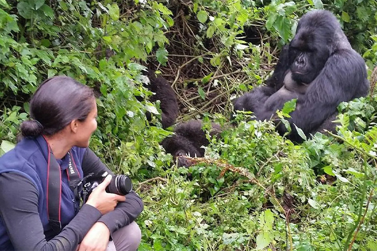 Best time to Go For Gorilla Trekking in Uganda